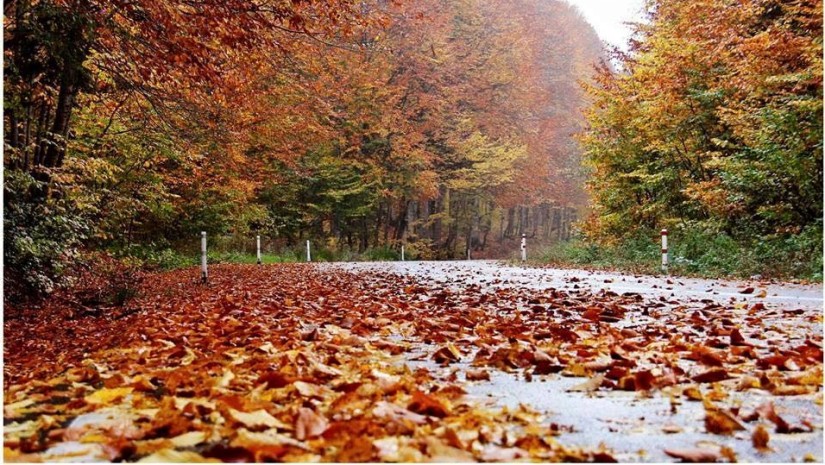 1 ოქტომბრის ამინდის პროგნოზი: საქართველოს უმეტეს ნაწილში წვიმა მოდის — photo: primetime.ge