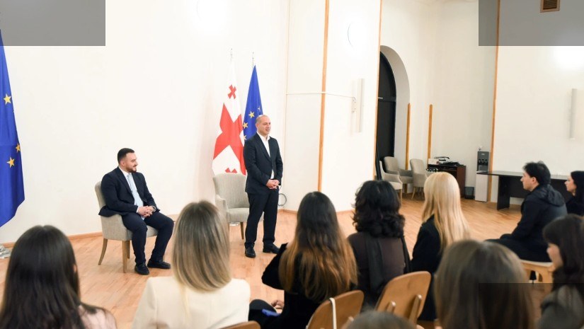 მიქანაძე ახალგაზრდა სტაჟიორებს შეხვდა