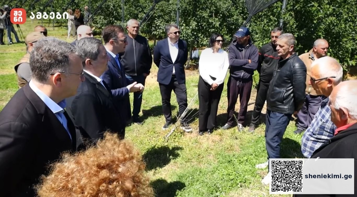 სახელმწიფოს მხარდაჭერით შექმნილი საწარმოები და გაშენებული ბაღები
