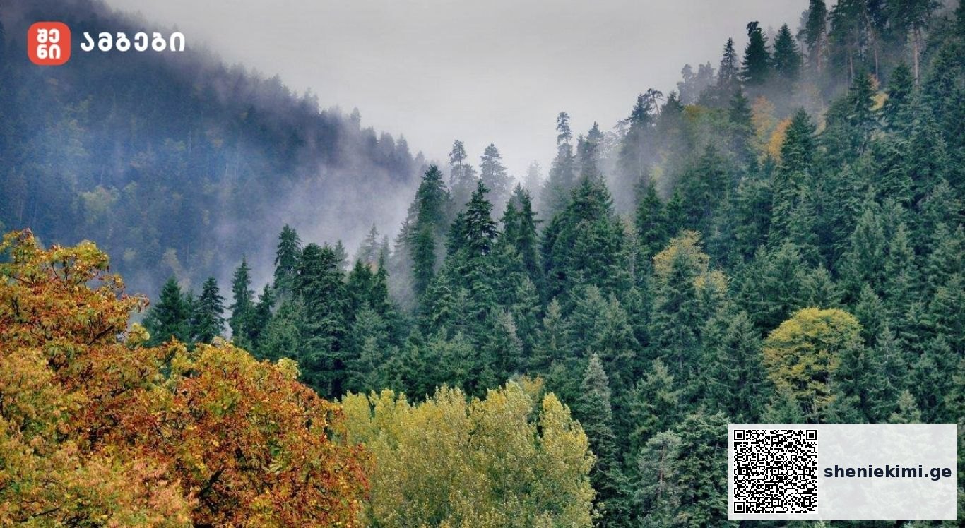 წაღვერი