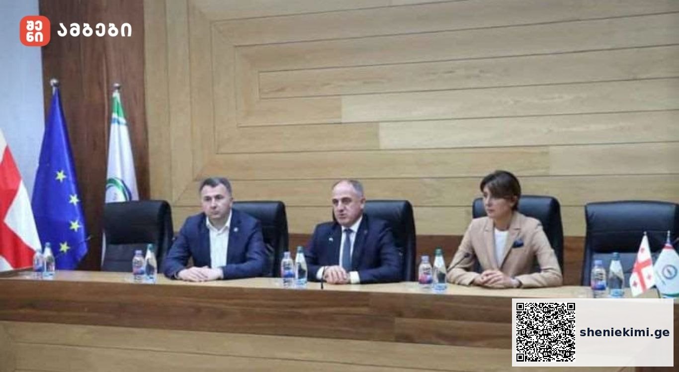 სემეკში გამართულ შეხვედრაზე, ბოლო პერიოდში, რუსთავის წყალმომარაგებაში არსებული შეფერხებების მიზეზებიც განიხილეს