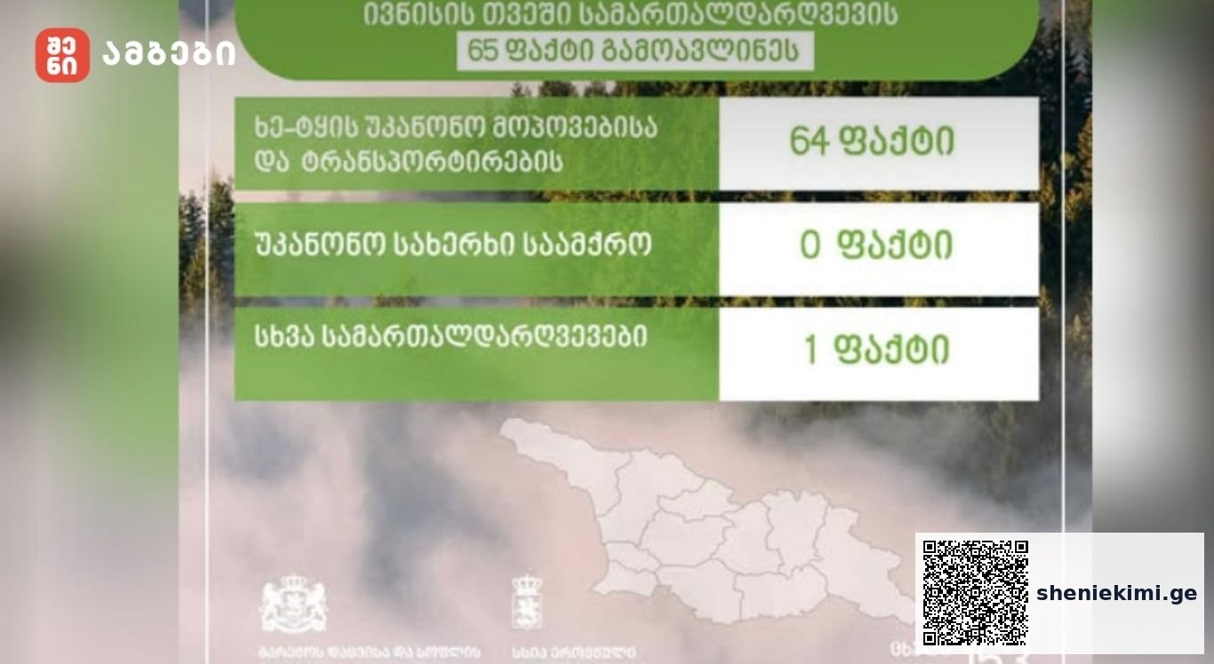 ეროვნული სატყეო სააგენტოს თანამშრომლებმა, მიმდინარე წლის ივნისის თვეში, სამართალდარღვევის 65 ფაქტი გამოავლინეს