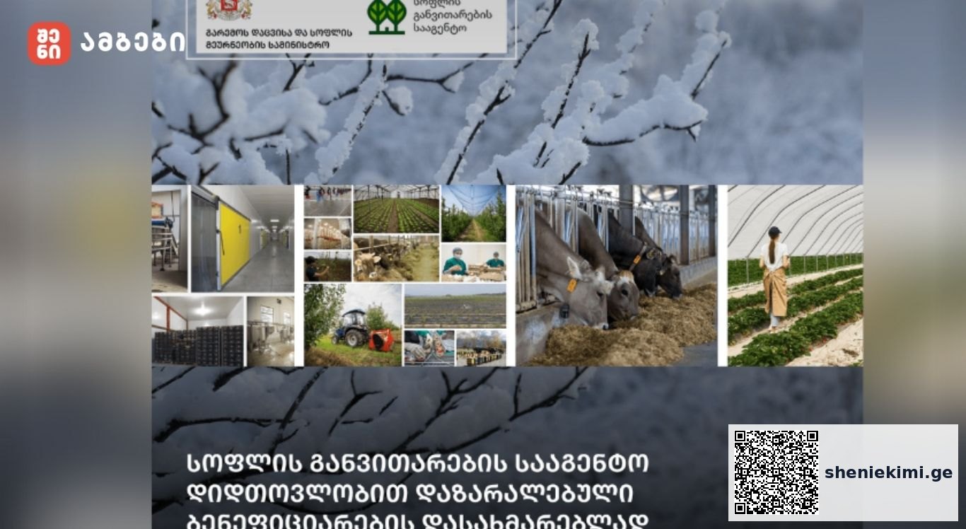 სოფლის განვითარების სააგენტო დიდთოვლობით დაზარალებული ბენეფიციარების დასახმარებლად განაცხადების მიღებას იწყებს