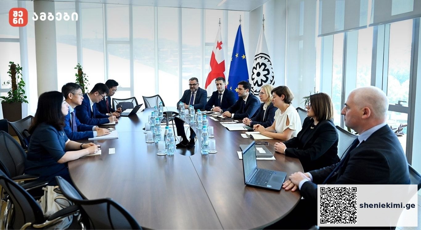 "ჩვენ წლის დასაწყისში ხელი მოვაწერეთ ჩვენსა და ჩინეთის ცენტრალურ ბანკს, ახალ ბანკს შორის ყოვლის მომცველ მემორანდუმს და სწორედ მემორანდუმის ამ მიმართულების აღსრულებას ემსახურება ეს ვიზიტი“-ნათია თურნავა