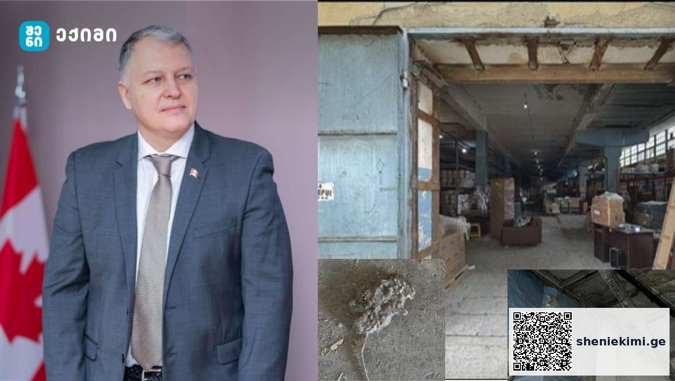„ეს მიუღებელია – ასეთი გარემო მხოლოდ დაუდევრობის გამოვლინება კი არ არის — ეს არის პირდაპირი საფრთხე პაციენტის ჯანმრთელობისა და სიცოცხლისთვის“ – გიორგი ფხაკაძე საგანგაშო კადრებს ავრცელებს სამედიცინო მარაგების საწყობიდან