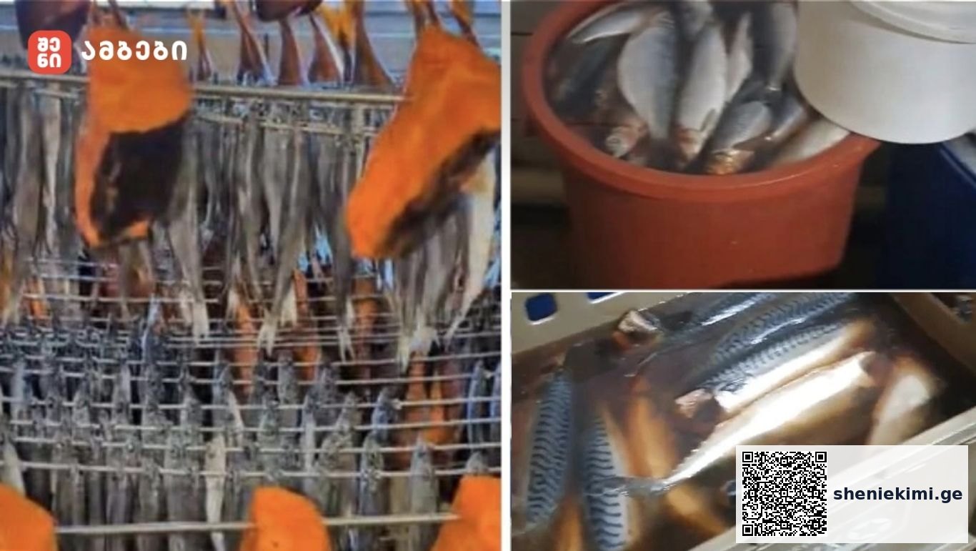 კრიტიკული შეუსაბამობები გამოვლინდა - სურსათის ეროვნული სააგენტო თევზის საწარმოებს ამოწმებს
