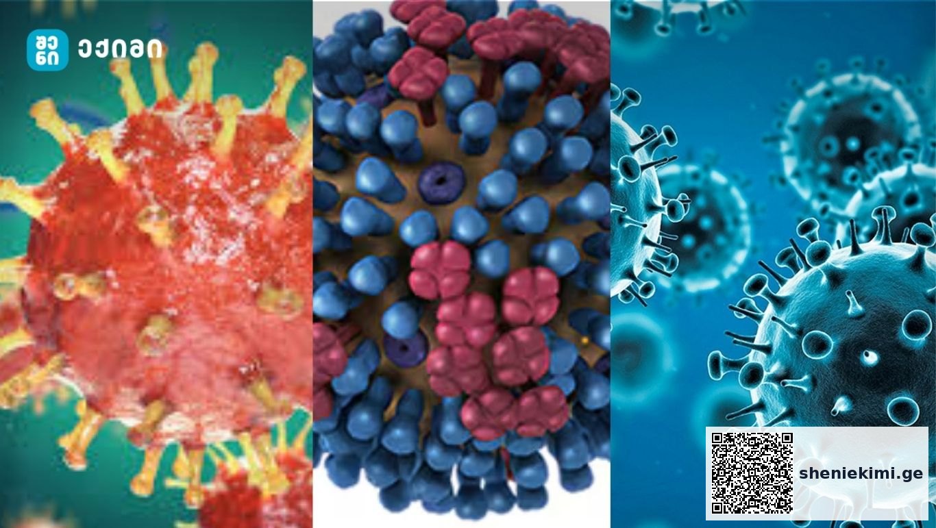 H1N1, ახალი H3N2 „K“ ვარიანტი და რა გველის წინ – გრიპის რთული სეზონი მოდის