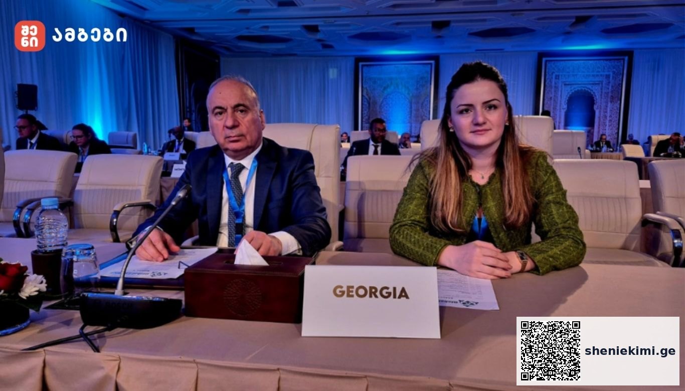 სოლომონ პავლიაშვილი: რადიაციული და ბირთვული ტერორიზმის პრევენციასთან დაკავშირებულ გლობალურ ფორუმში მონაწილეობა ხელს უწყობს ქვეყნის ეროვნული შესაძლებლობების გაძლიერებას