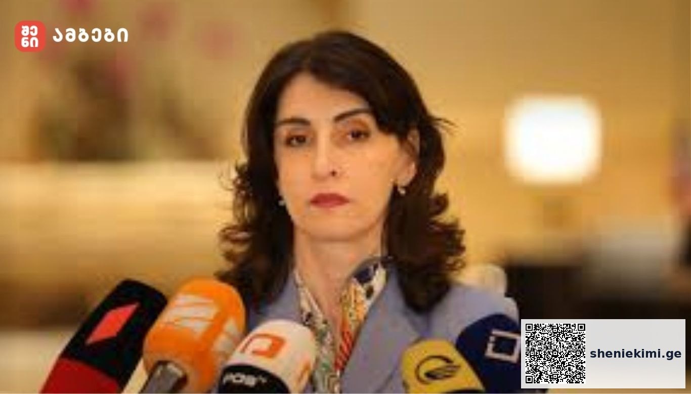 მაკა ბოჭორიშვილი ბრიტანეთის ელჩთან შეხვედრაზე: 40 წუთის განმავლობაში მე არ მომისმენია არც ერთი არგუმენტი, რომელიც „პოსტივის“ ან ტელეკომპანია „იმედის“ დასანქცირებას გაამართლებდა