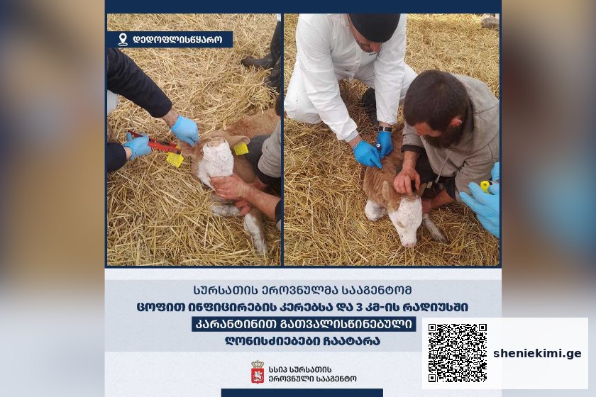 დედოფლისწყაროს მუნიციპალიტეტში მსხვილფეხა საქონელს ცოფი დაუდასტურდა