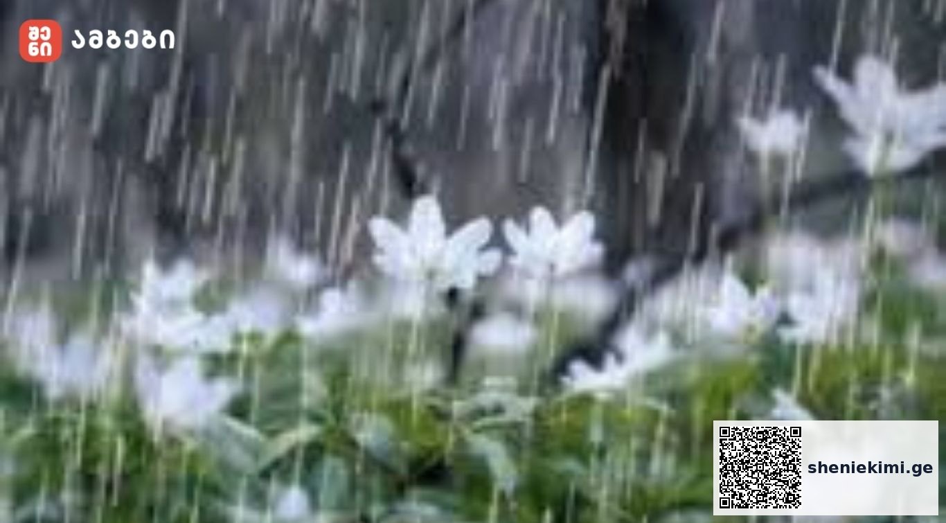 წვიმის ქართული სინონიმები