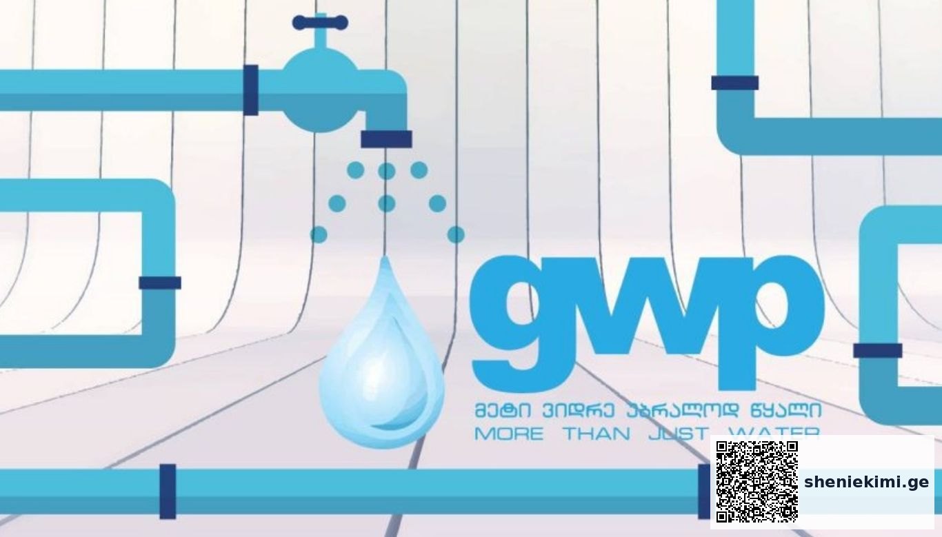 სემეკმა GWP 50 000 ლარით დააჯარიმა