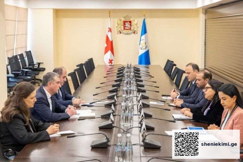 შეხვედრაზე მხარეებმა ორ ქვეყანას შორის ურთიერთობები და თავდაცვის სფეროში სამომავლო თანამშრომლობის პერსპექტივები განიხილეს