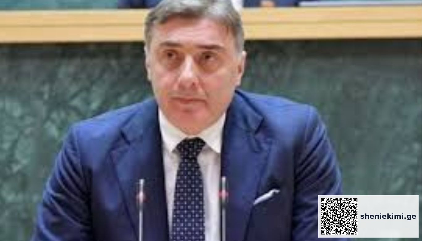 „რეფერენტი ასე მუშაობს, დანარჩენი არის სპეკულაცია - საქართველოში რეფერენტული ფასები აღებულია ოთხი ქვეყნის ბაზრის შესწავლით. არსებობს ფასნამატის ზედა ზღვარი და ეს ფასი ვერ იქნება უფრო ძვირი, ვიდრე ევროპაში“-შოთა ბერეკაშვილი