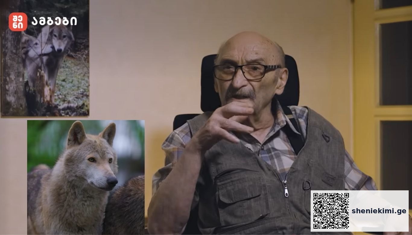 Elderly man with glasses sits in a chair, gesturing, with wolf and dog photos on the wall behind him.