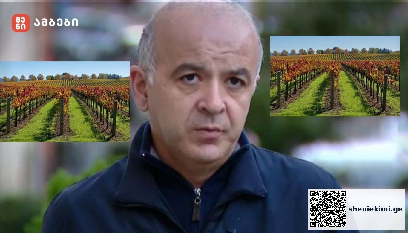 „ხალხი ვერ ეგუება რეგულაციასო. როგორ შეეგუები, როცა რეგულაცია ღუპავს დარგს?! - ახალი რეგულაციები კვლევებსა და ექსპერიმენტებზე დაყრდნობით შემუშავებული არაა“-„უდაბნო ღვინოს“ დამფუძნებელი მირიან ნიკოლაძე