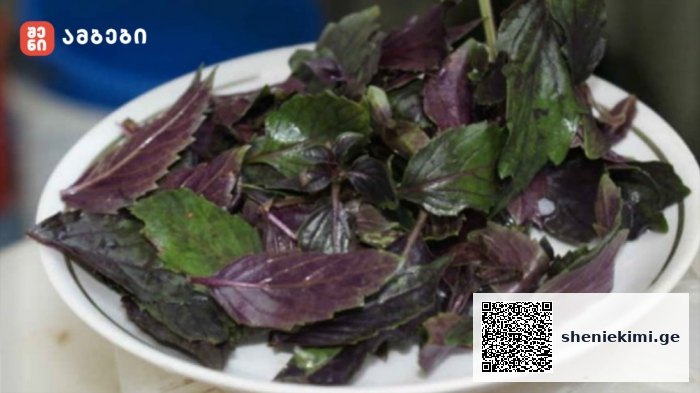 Bowl of fresh purple basil leaves on a white plate, showing green and deep purple foliage.