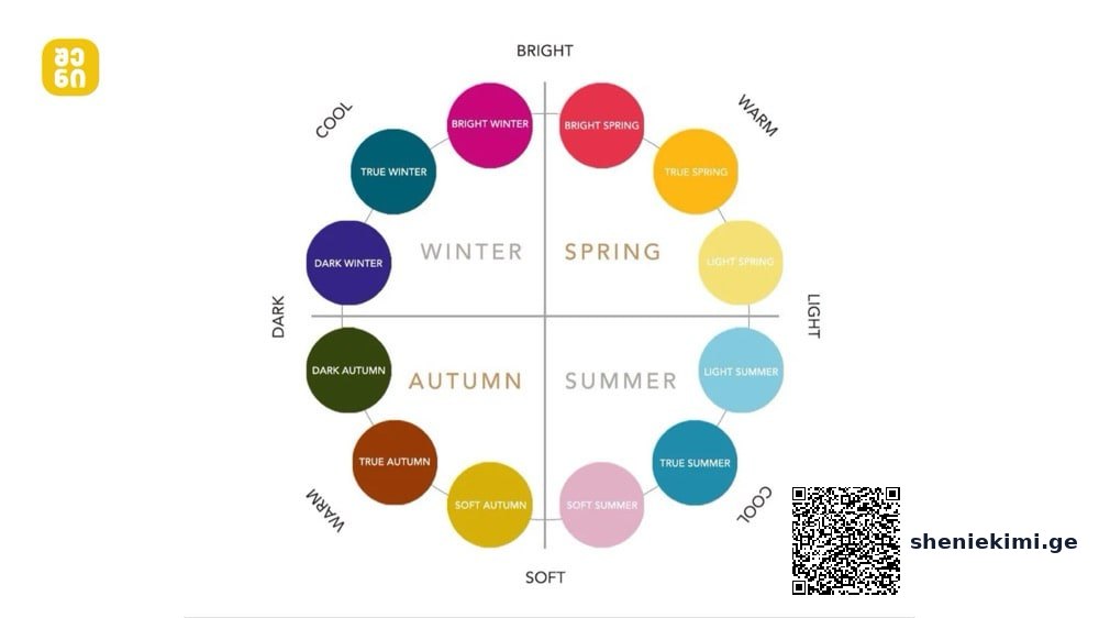 Circular color wheel of seasonal palettes on bright–soft and warm–cool axes, labeled with True/Dark/Bright Winter, Bright/True Spring, True Summer, Soft Summer, Soft Autumn, True Autumn, Dark Autumn, Light Spring, Light Summer, and related color terms.