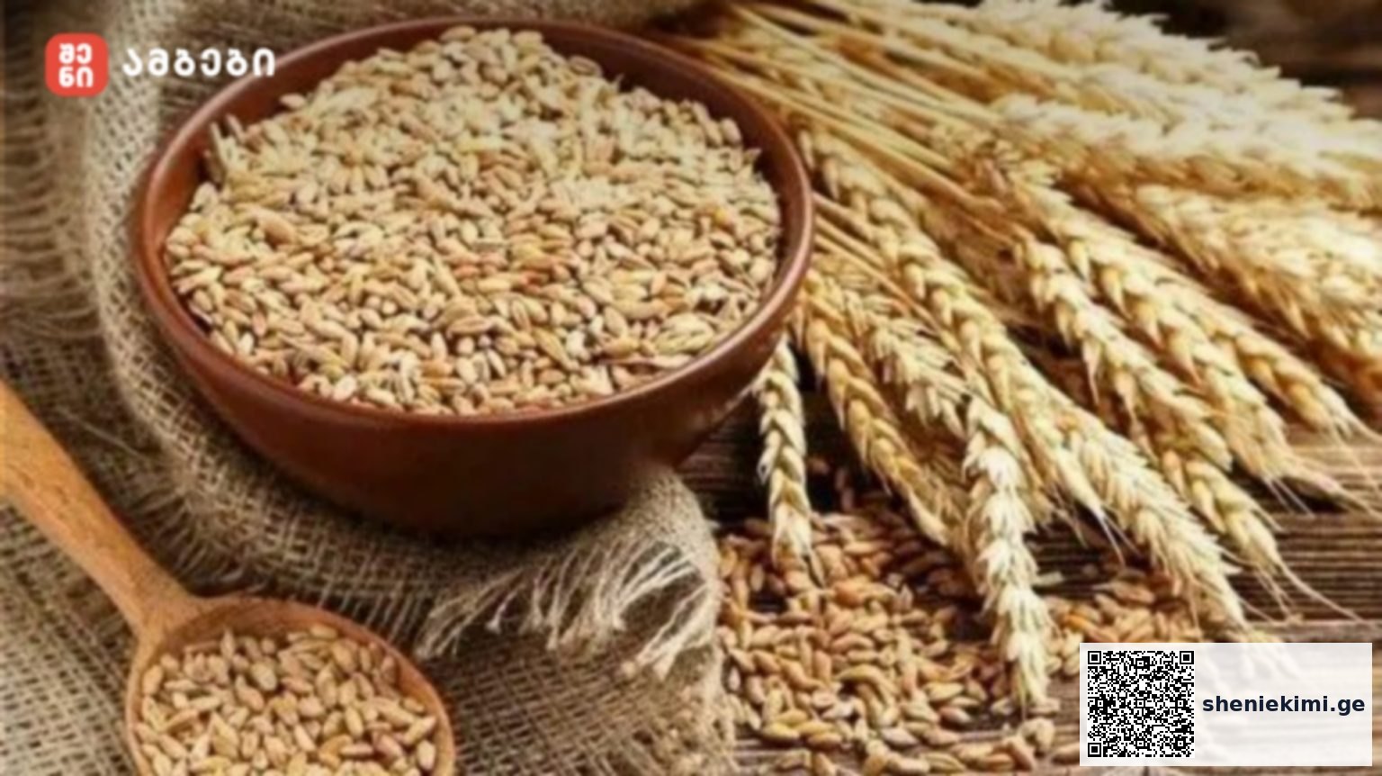 Bowl of barley grains with wheat stalks on a wooden table.