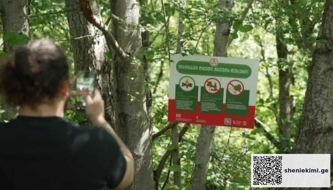 Person in a forest taking a photo of a large sign attached to a tree.
