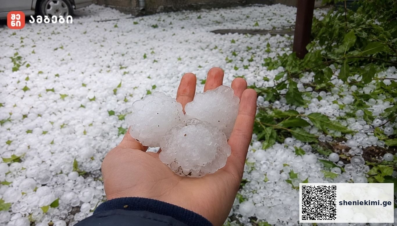 Hand holding three large hailstones, with a yard covered in hail pellets behind.