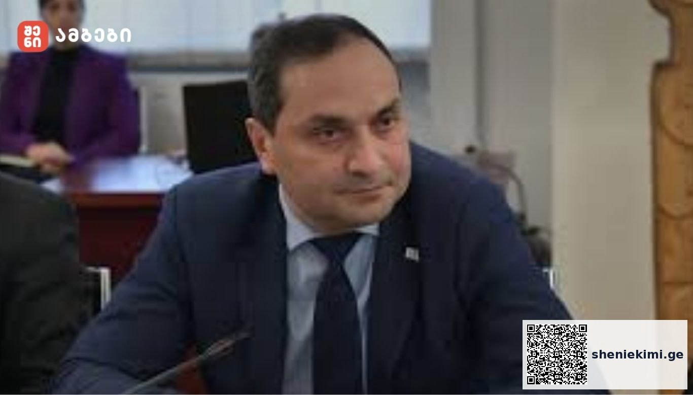 განათლების მინისტრის მოადგილე