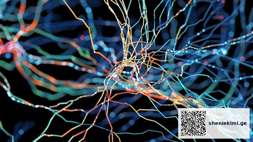 Abstract image of colorful interwoven neon lines on a dark background, like a network map