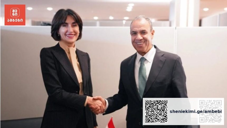 მაკა ბოჭორიშვილი გაეროს ასამბლეის ფარგლებში ეგვიპტის საგარეო მინისტრს შეხვდა — photo: primetime.ge