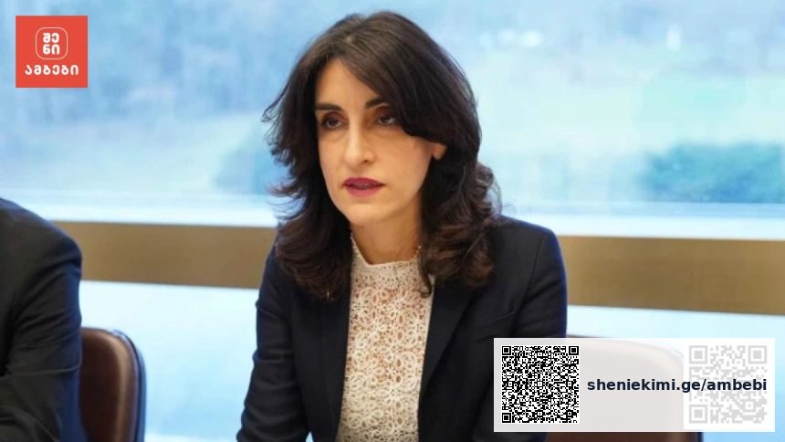 გაეროს გენერალური ასამბლეა: კობახიძის გამოსვლა და ბოჭორიშვილის შეფასება — photo: primetime.ge