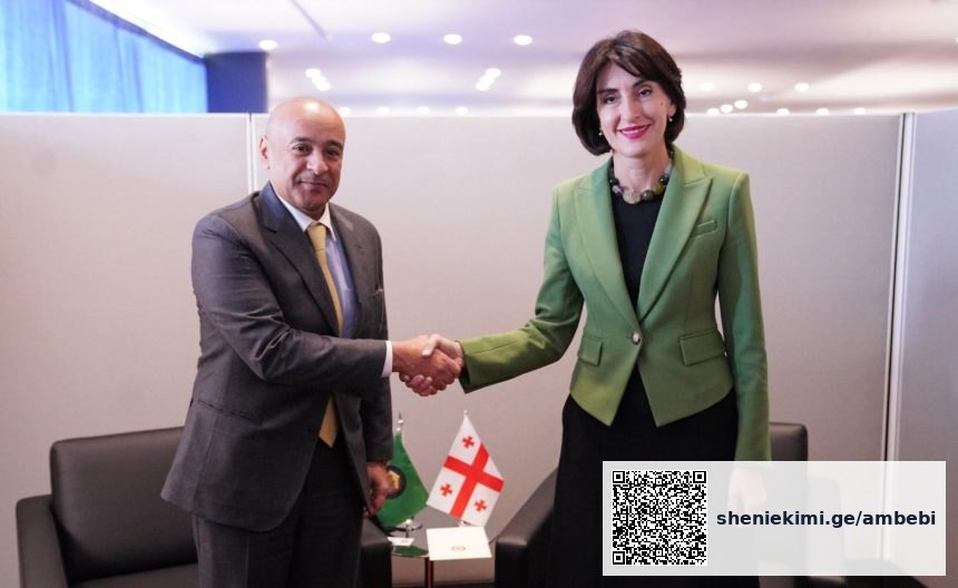 საქართველოს საგარეო მინისტრი GCC-ის მეთაურს ნიუ-იორკში შეხვდა — photo: www.interpressnews.ge