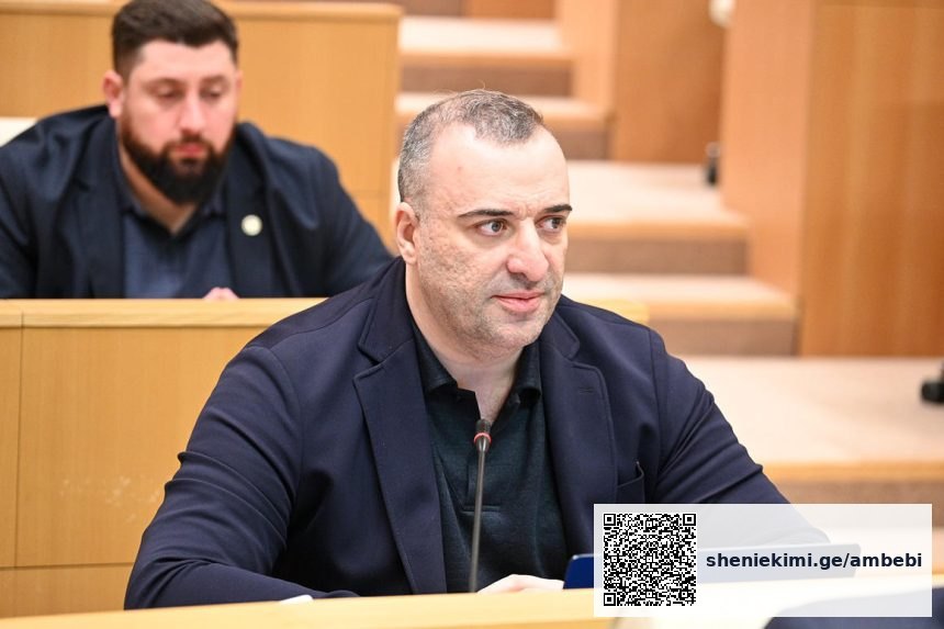 იონათამიშვილი პრემიერის გაეროს გამოსვლაზე