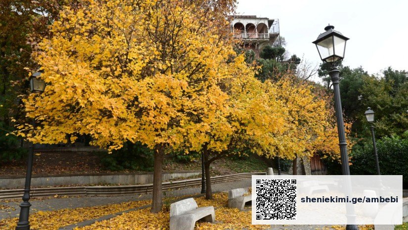 ოქტომბრის ამინდი საქართველოში: სინოპტიკოსის დეტალური პროგნოზი — photo: primetime.ge