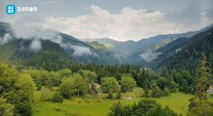 მთა — თქვენი ჯანმრთელობის ბუნებრივი კლინიკა, ჯანმრთელობისთვის ბუნებრივი წამალი