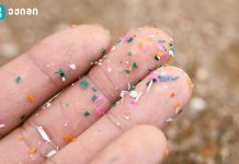 მიკროპლასტიკები უკვე თქვენს ორგანიზმშია — და ეს უბრალოდ „გარემოს პრობლემა“ აღარ არის მიკრო და ნანოპლასტიკების გავლენა ჯანმრთელობაზე