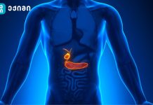 რა სიმპტომები მიგვანიშნებს ნაღვლის ბუშტში კენჭებზე – შესაძლებელია თუ არა პრევენცია? არსებობს თუ არა მედიკამენტური მკურნალობა? ნაღველკენჭოვანი დაავადება ხასიათდება ნაღვლის ბუშტში ან ნაღველსადინარებში კენჭების გაჩენით