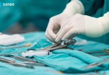 ანესთეტიკების ნაკლებ დოზებს საჭიროებდნენ, უფიქსირდებოდათ გულის რითმისა და წნევის სტაბილიზებული მაჩვენებლები და სტრესის შემცირებული დონე – რა დაადგინეს მეცნიერებმა 2024 წლის მთავარი სამედიცინო მიღწევები - „ტიტანის გული და ღორის თირკმელი“