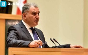მნიშვნელოვან მედიკამენტებზე, საბაზრო ღირებულება, დაახლოებით, 40%-ითაა შემცირებული – მიხეილ სარჯველაძე
