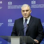 მიხეილ სარჯველაძე