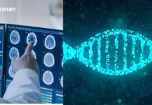 ბოლო 30 წელიწადში მსოფლიოში კიბოს შემთხვევები 80%-ით გაიზარდა – რას უკავშირებენ მკვლევრები ადრეული კიბოს ზრდას ახალი კვლევის თანახმად, მეცნიერებმა ასობით გენი აღმოაჩინეს, რომლებიც პოტენციურად კიბოს იწვევს.