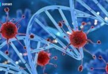 ახალმა, რევოლუციური მკურნალობის მეთოდმა პაციენტებში სისხლის კიბო განკურნა – „ფუძის რედაქტირების“ ტექნოლოგია – მეცნიერებმა ისეთი სამკურნალო მიდგომა წარმოადგინეს, რომელიც ადრე წარმოუდგენლად ჟღერდა კვლევის შედეგები - სიმსივნის მქონე კაცებში სიკვდილიანობა, შესაძლოა, 93%-ით გაიზარდოს