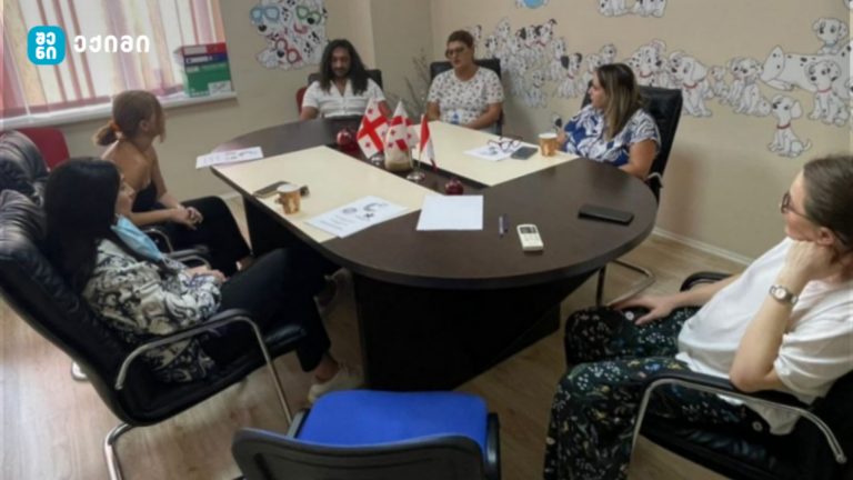 Innovative Patient and Family Council Initiative: A Case Study from Georgia