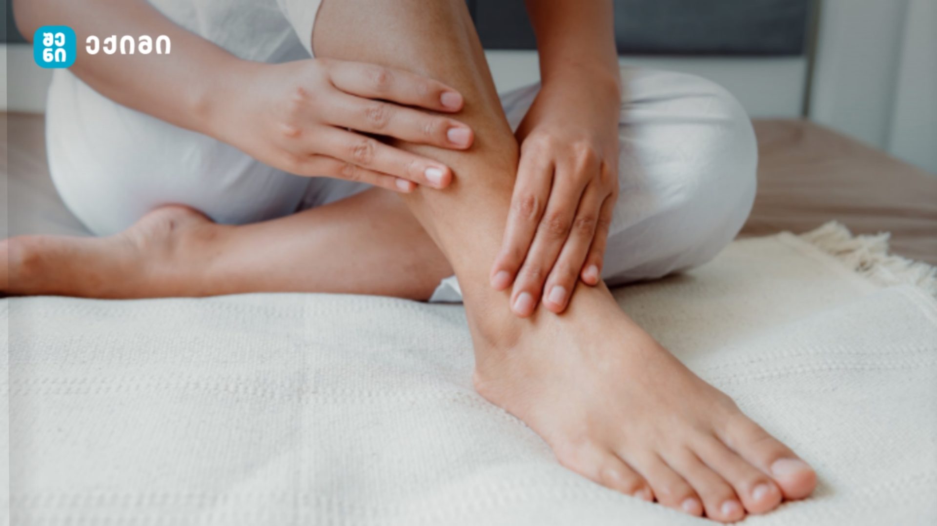 sheieqimi mousvenari