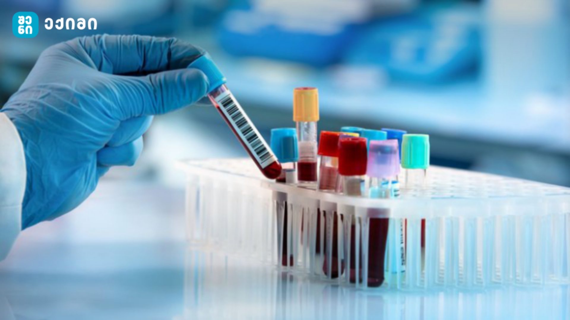 shenieqimi analizebi