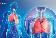 ფილტვის ქრონიკული ობსტრუქციული დაავადებების მსოფლიო დღე ჯანსაღი ფილტვები – ამჟამად მსოფლიოში 300 მილიონი ადამიანია დაავადებული ფქოდით ინტერნაციონალური ახალი კვლევა ავლენს ფილტვის ადენოკარცინომის უჯრედებში ენერგეტიკული გზების ცვლილებას ადრეული სტადიებიდან პროგრესირებულამდე