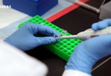 შეიძლება თუ არა მულტიფაქტორული დაავადებების თავიდან აცილება? – გენეტიკური კვლევის როლი დაავადებათა რისკის შეფასებასა და პრევენციაში ელიმინაციის პროცესში არსებული დაავადებები