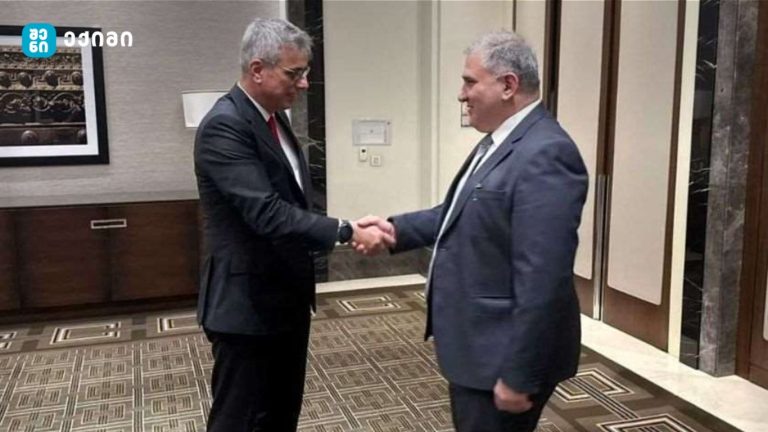 მხარეებმა საქართველოსა და თურქეთს შორის ჯანდაცვის სფეროში მიმდინარე ერთობლივ პროექტებსა და თანამშრომლობაზე ისაუბრეს