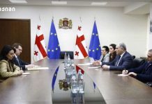 მიხეილ სარჯველაძე დიუშენის სამკურნალო წამალზე: არცერთი ევროპული სახელმწიფო არ იღებს დადებით გადაწყვეტილებას ამ დრომდე მხარეებმა, ჯანდაცვის სფეროში მიმდინარე, "ჯანდაცვის სექტორის გაძლიერების პროგრამა" განიხილეს, რომელიც პირველადი ჯანდაცვის სისტემის განვითარებაზეა ორიენტირებული და მომდევნო წლის თანამშრომლობის საკითხებზე შეთანხმდნენ