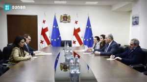 მიხეილ სარჯველაძე დიუშენის სამკურნალო წამალზე: არცერთი ევროპული სახელმწიფო არ იღებს დადებით გადაწყვეტილებას ამ დრომდე