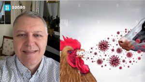 სერიოზული საფრთხე – ფრინველის გრიპი ჩუმად ფართოვდება ცხოველებში –  „დროებით მშვიდობა“ ხშირად ყველაზე სახიფათო პერიოდია