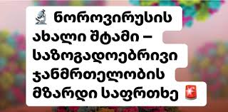 ნოროვირუსის ახალი შტამი – საზოგადოებრივი ჯანმრთელობის მზარდი საფრთხე | შენი ექიმი